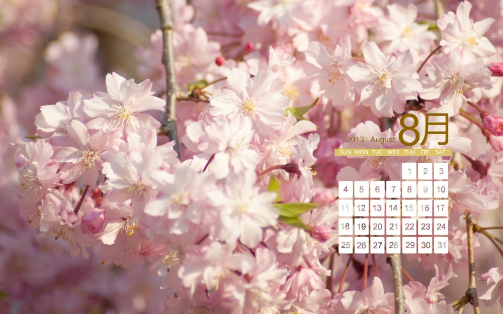 2013年日历壁纸之8月花朵