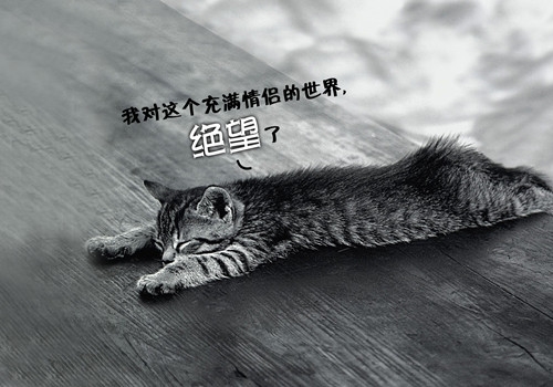 我的另一半，你去哪了？