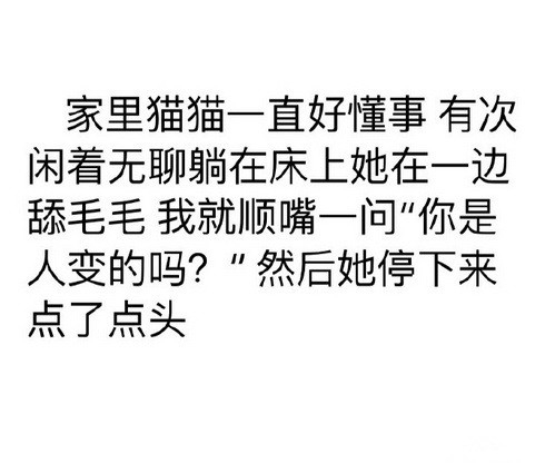 有没有一瞬间认为你们家宠物成精了？