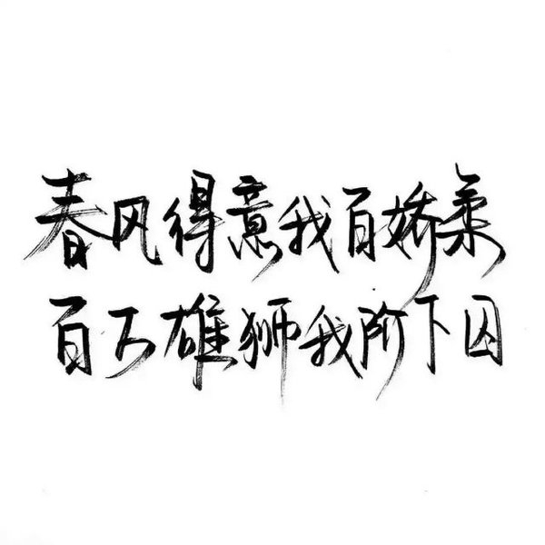 认真你，不后悔
