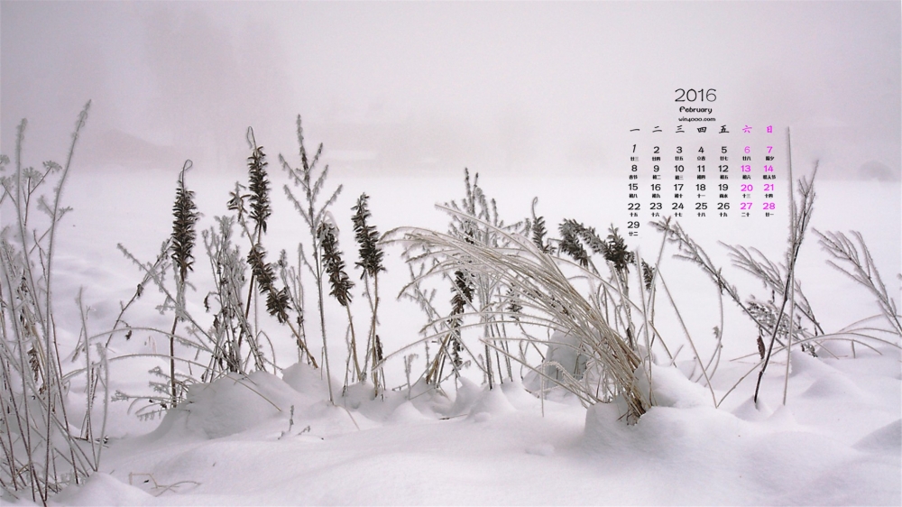 2016年2月日历壁纸冬天唯美雪景图片2