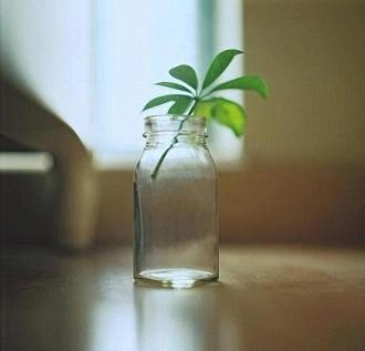 小清新唯美图片大全合辑 下一个花季
