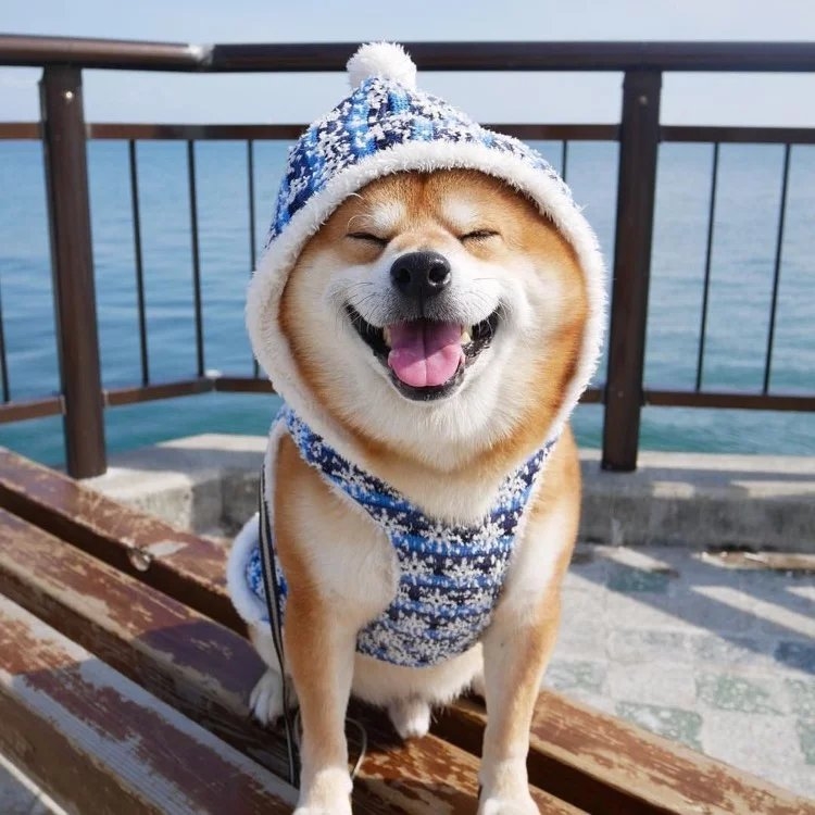 笑一笑 没什么大不了