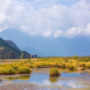 小清新自然风景意境海边头像