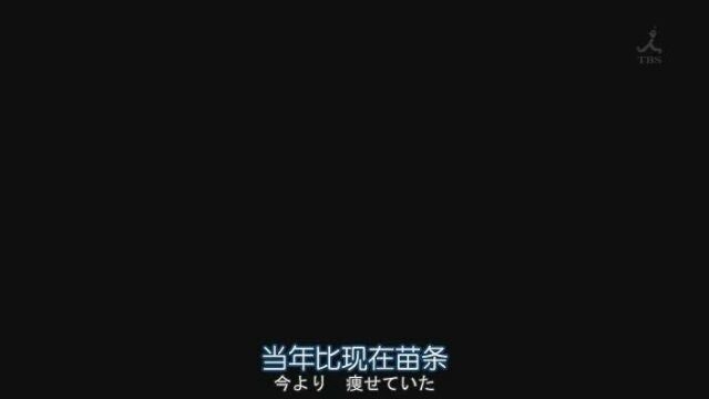 一百个人一百张嘴 我是你爸爸也是你祖宗