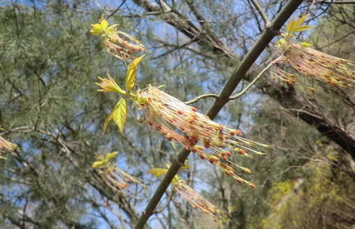在一抹花香处，为你停留