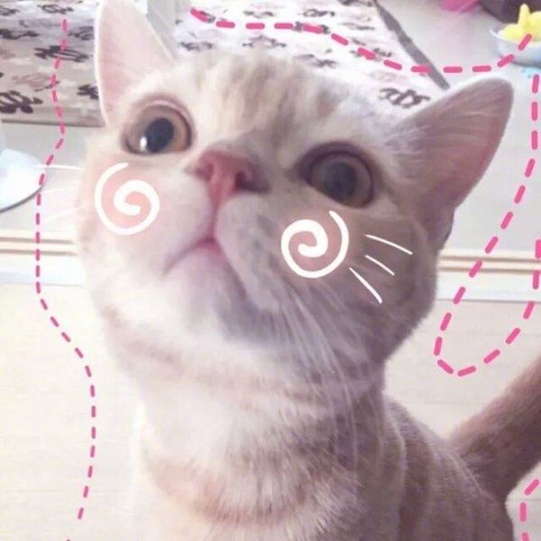 我可以居你一口嘛