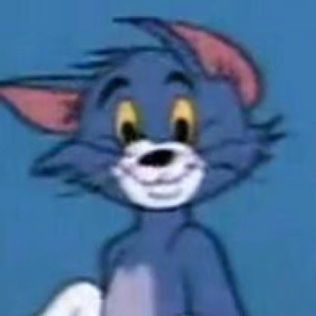 猫和老鼠？？？