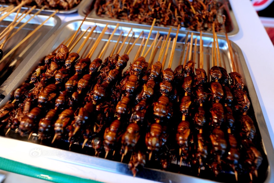沈阳肉虫料理登场挑战味觉极限