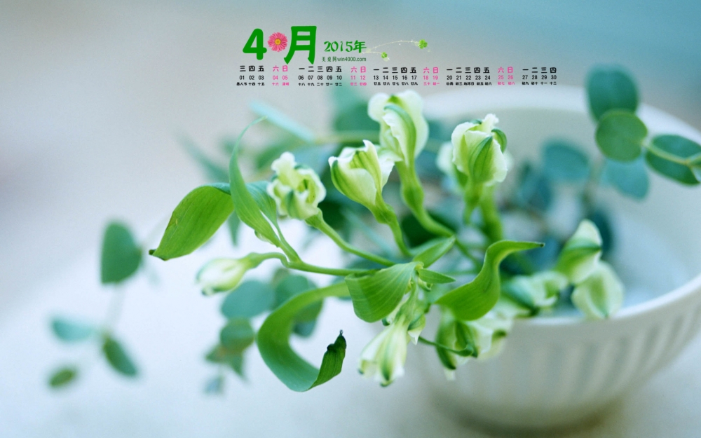 2015年4月日历壁纸清新绿色居家护眼植物盆栽高清图片下载