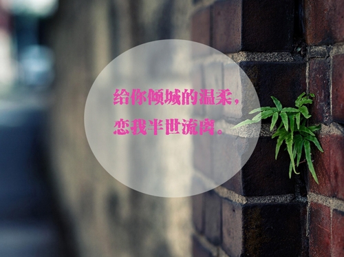 等待，是一生最初的苍白
