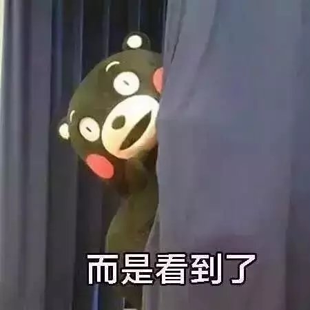真理是这样的