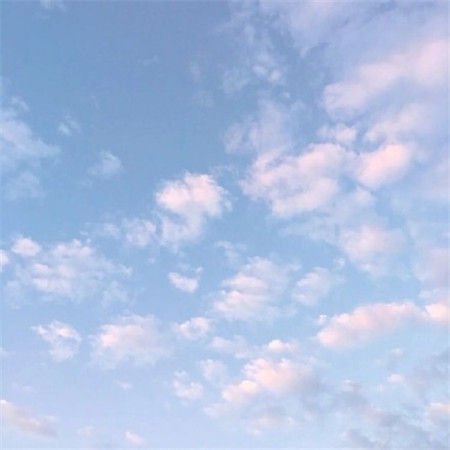 女生朋友圈背景图唯美简约 我很无聊你也不必有趣