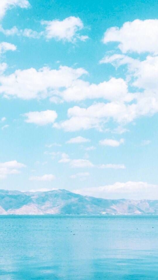 叶清:小清新♡全屏壁纸
