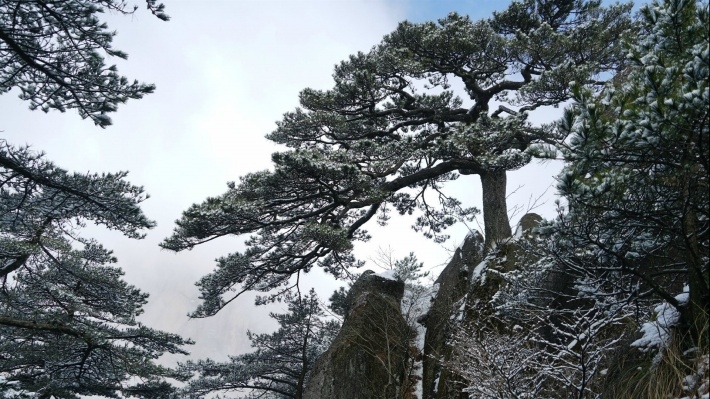风景区黄山风光电脑壁纸