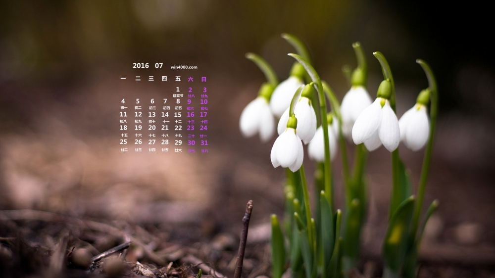 2016年7月日历鲜花摄影壁纸第一辑