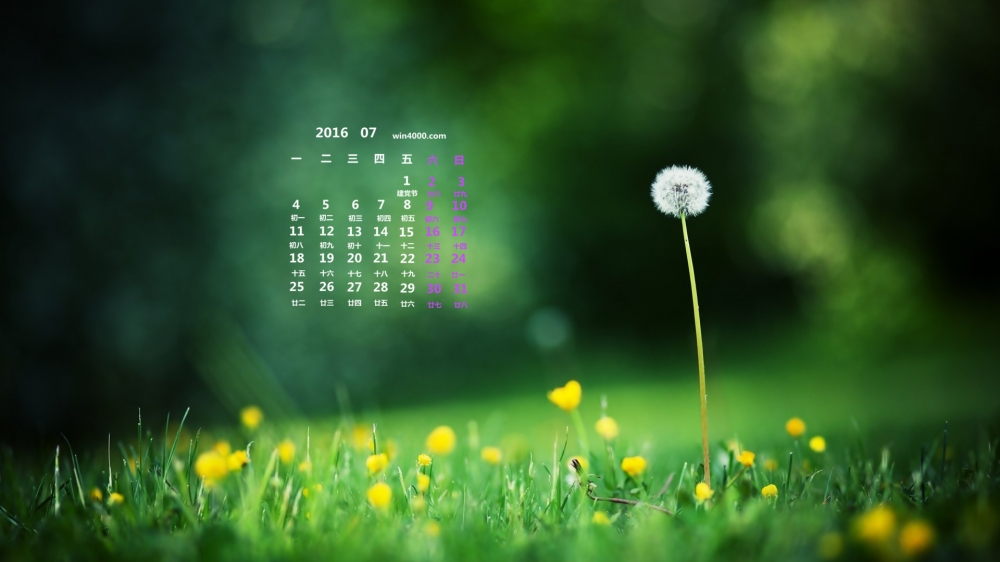 2016年7月日历鲜花摄影壁纸第一辑