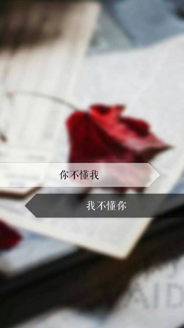 如何理解。