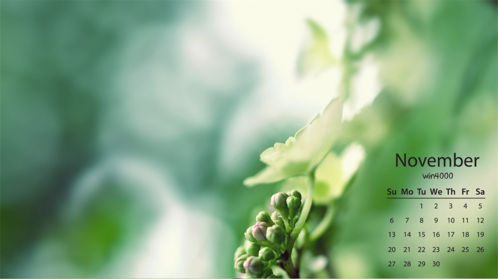 2016年11月日历绿色植物桌面壁纸