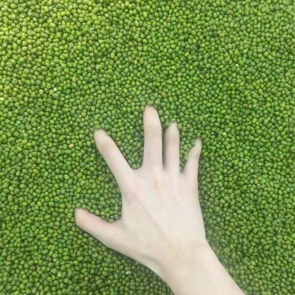 爪子