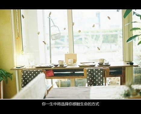 量贩一组小清新