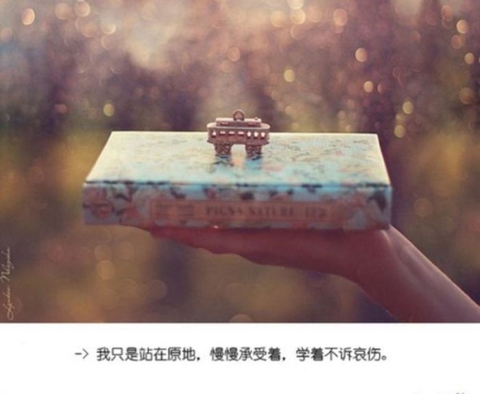 只要你肯迈出一步，剩下的路我来走