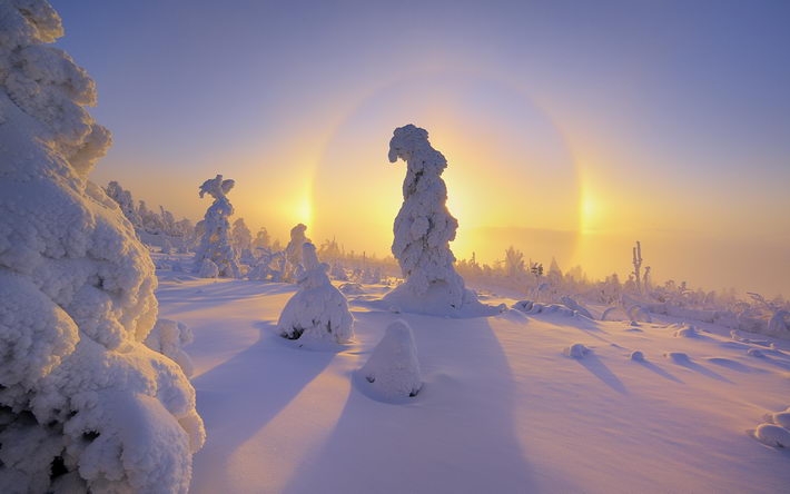 雪景风光摄影宽屏壁纸