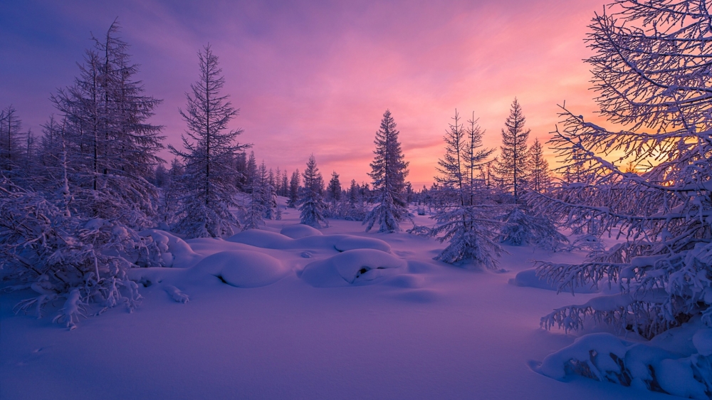 迷人冬季雪景图片壁纸