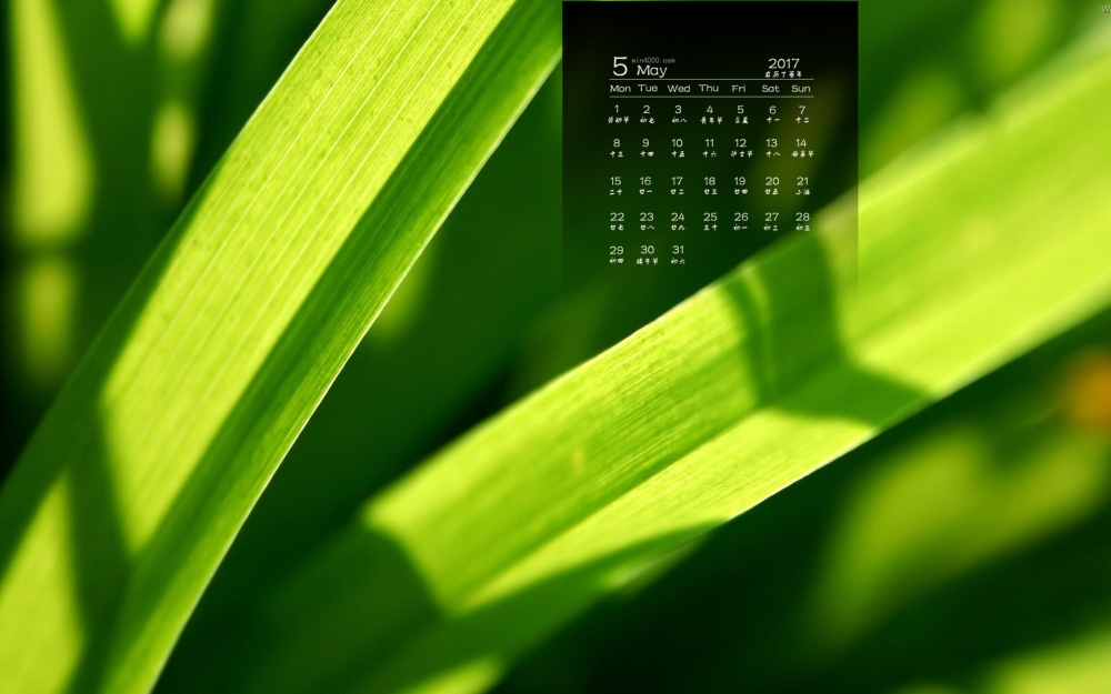 2017年5月清新绿色植物护眼日历壁纸