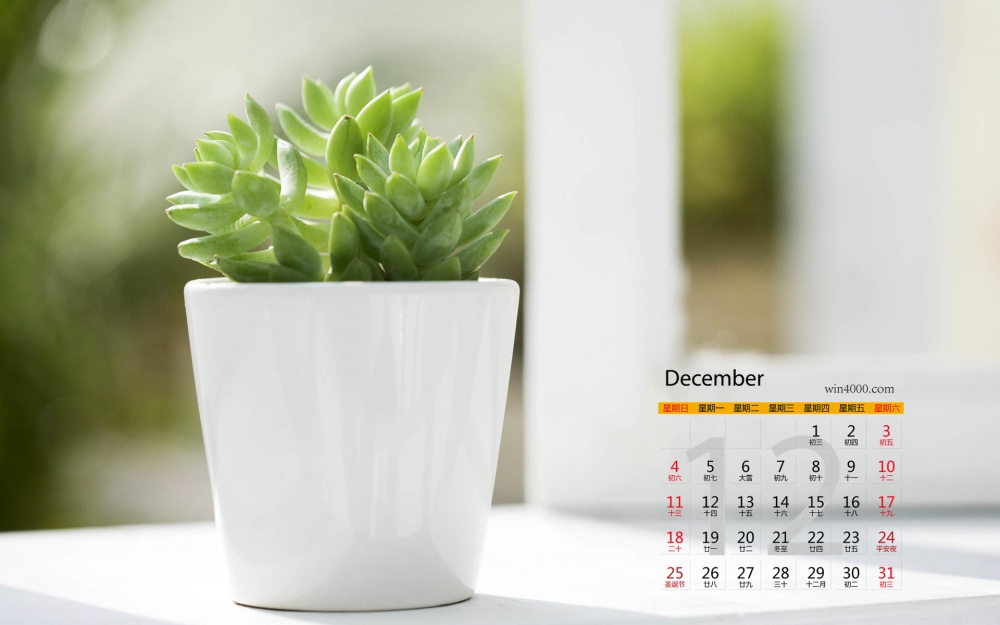 2016年12月日历清新静物风景桌面壁纸