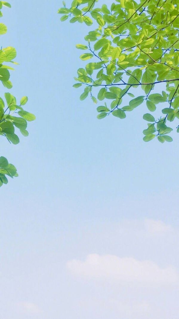 叶清:小清新♡全屏壁纸