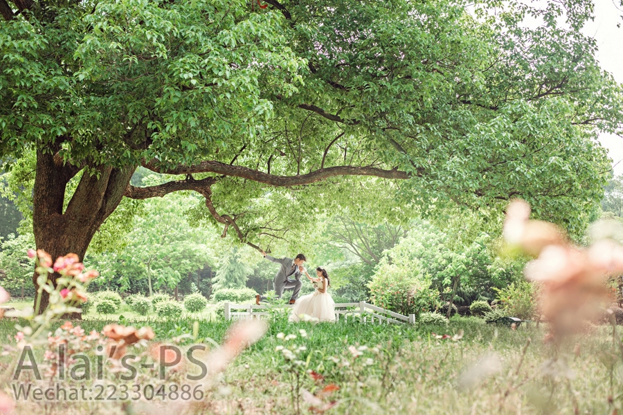 花之海洋 婚纱照