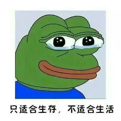 这就是我的食堂