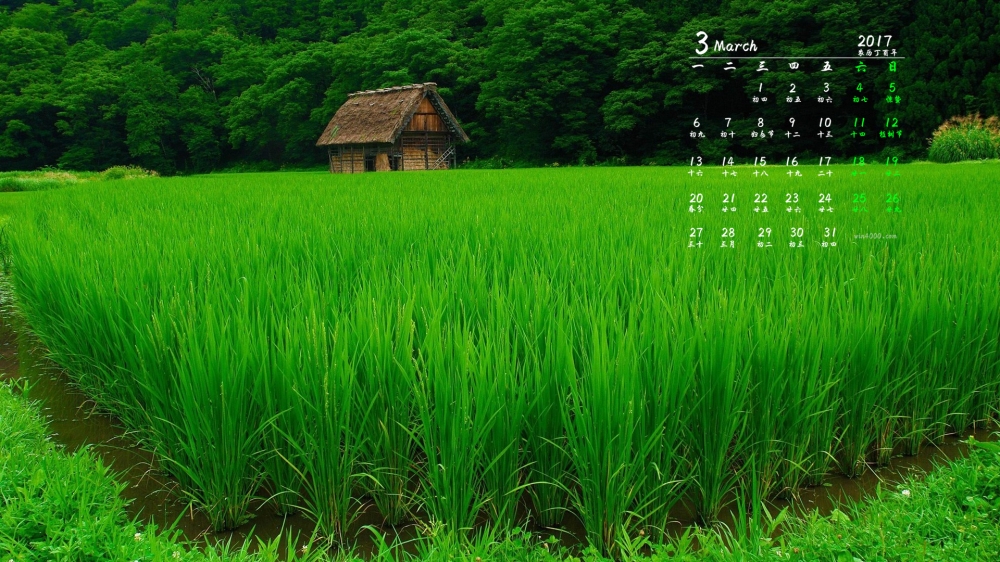2017年3月神奇的大自然阳光森林日历壁纸