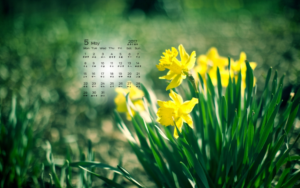 2017年5月清新绿色植物护眼日历壁纸
