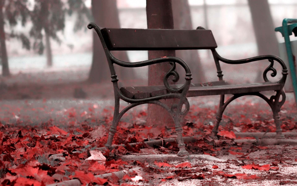 魅力秋季的公园落叶椅子唯美图片高清壁纸下载