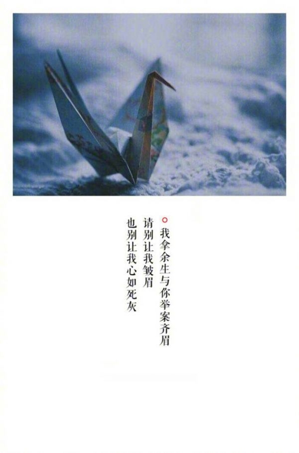 你的名字是我的骄傲.