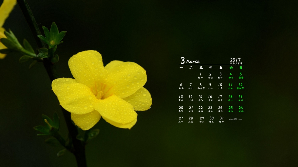 2017年3月神奇的大自然阳光森林日历壁纸