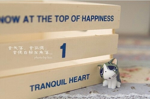 卡哇伊起司猫