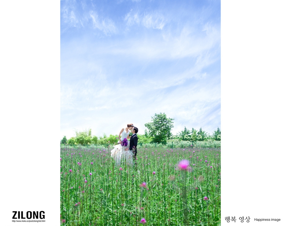 阳光 空气 花香 婚纱照