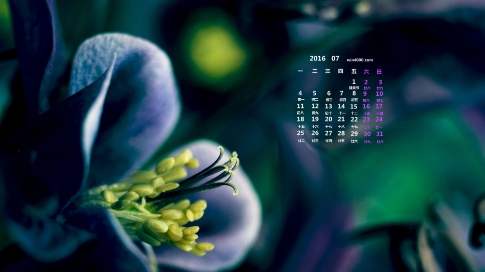 2016年7月日历鲜花摄影壁纸第一辑