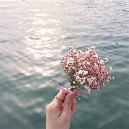 女生朋友圈背景图唯美简约 我很无聊你也不必有趣