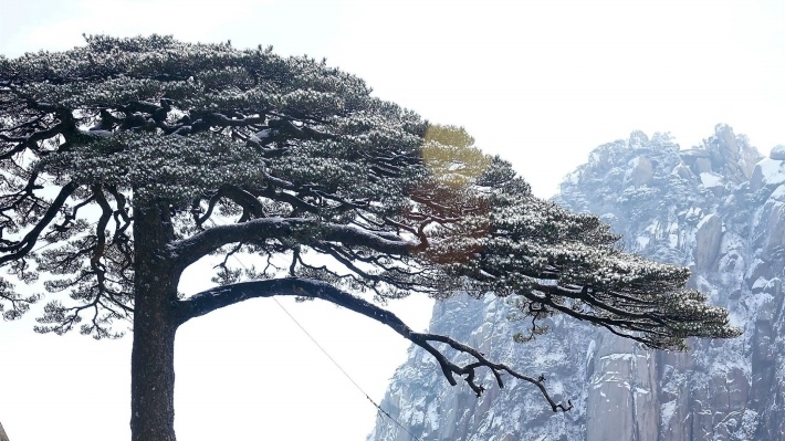 风景区黄山风光电脑壁纸