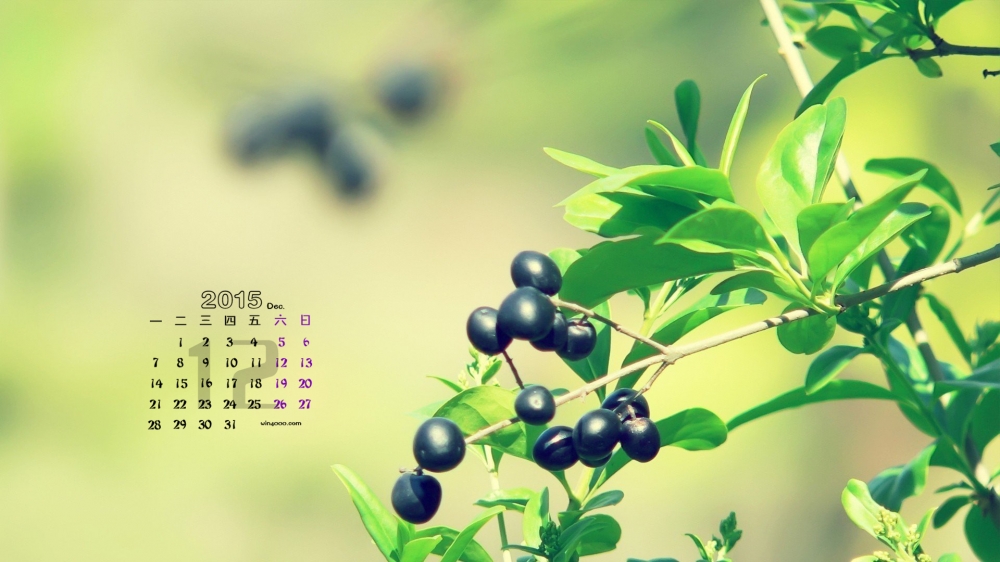 2015年12月日历养眼自然风光桌面壁纸图片下载
