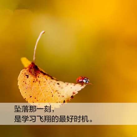 抢着是没有眼泪的，而是含着眼泪仍能向前奔跑