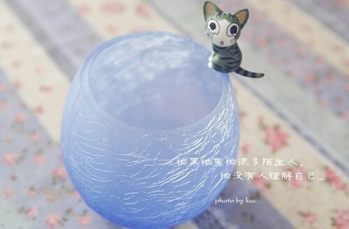 卡哇伊起司猫