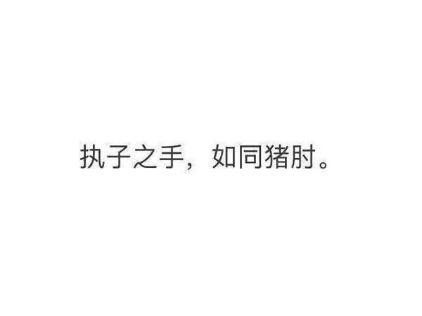 执子之手，如同猪肘