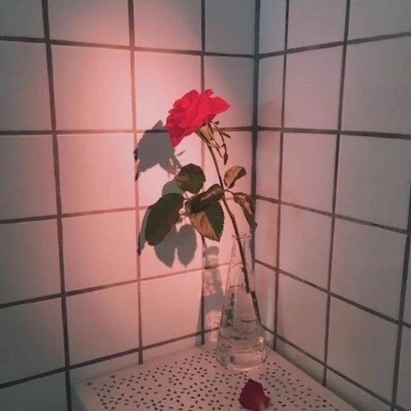 程江玹：少女心背景图