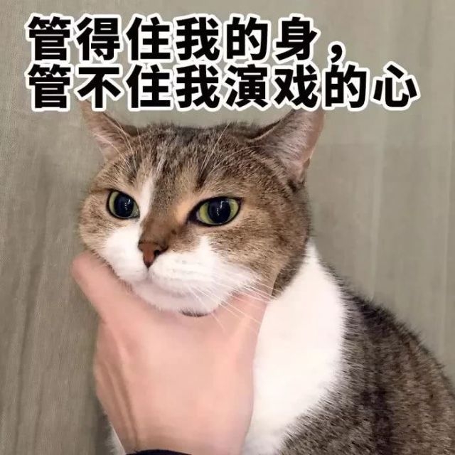 量多！量大！