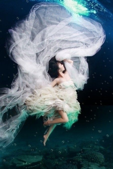 独爱：女人们的最爱